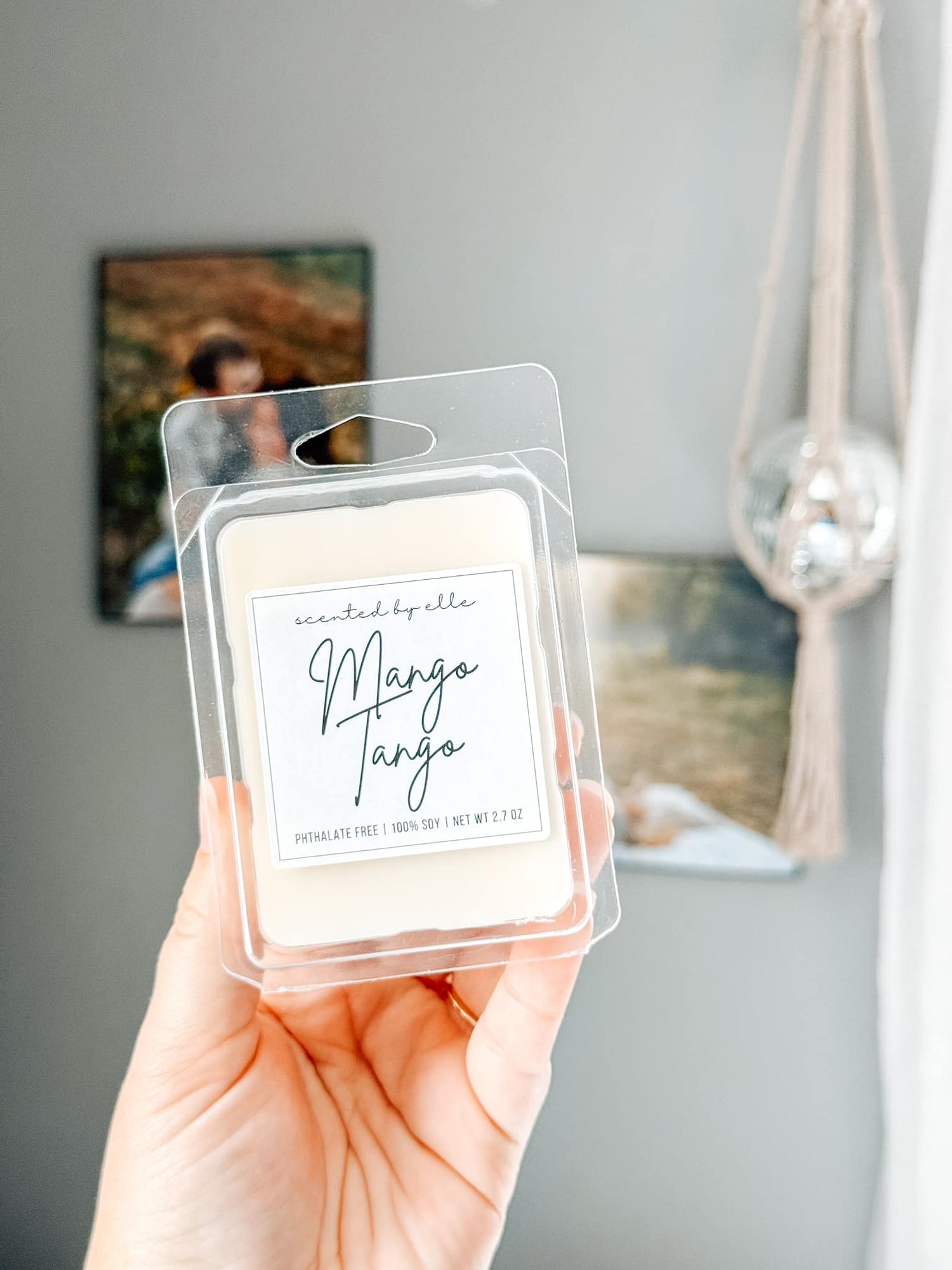 Wax Melts {Multiple Scents!}