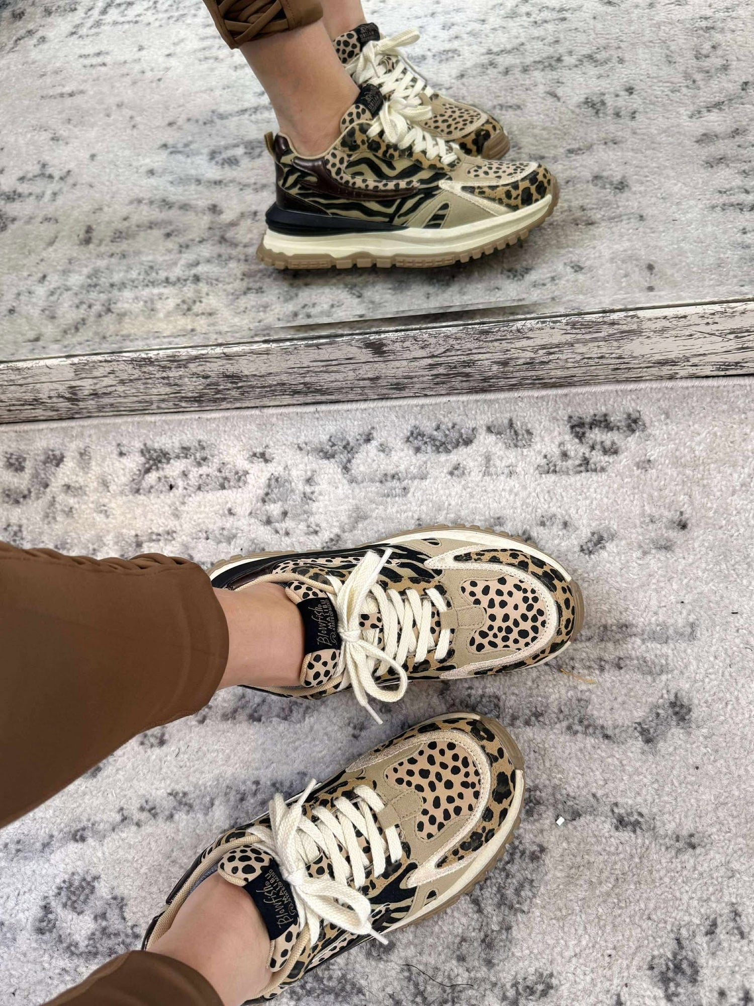 Blowfish - Leo - Leopard {6-11}