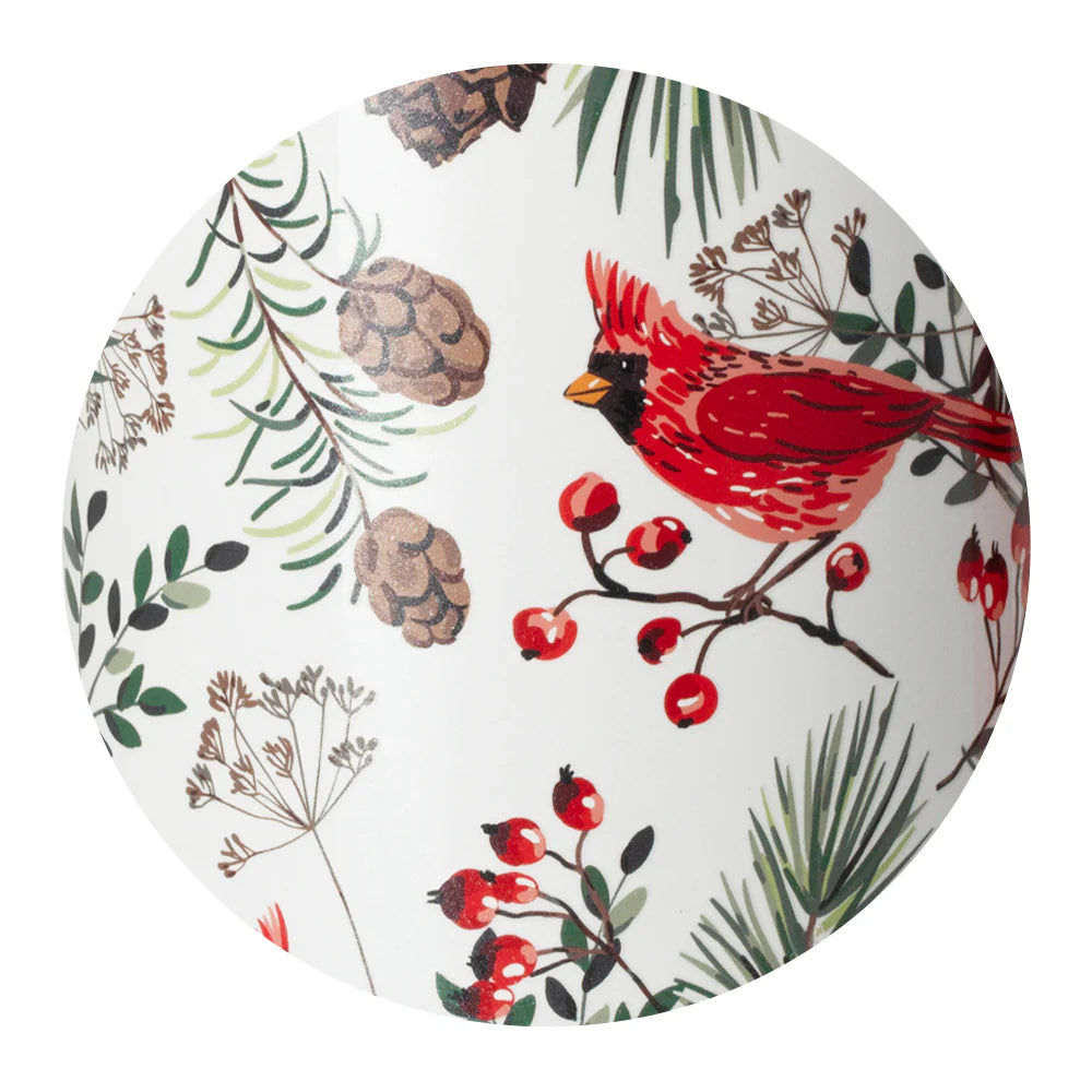 Swig Winter Cardinals - Multiple Styles!