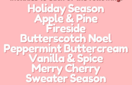 Car Diffuser - HOLIDAY {Multiple Scents!} - KaraMarie